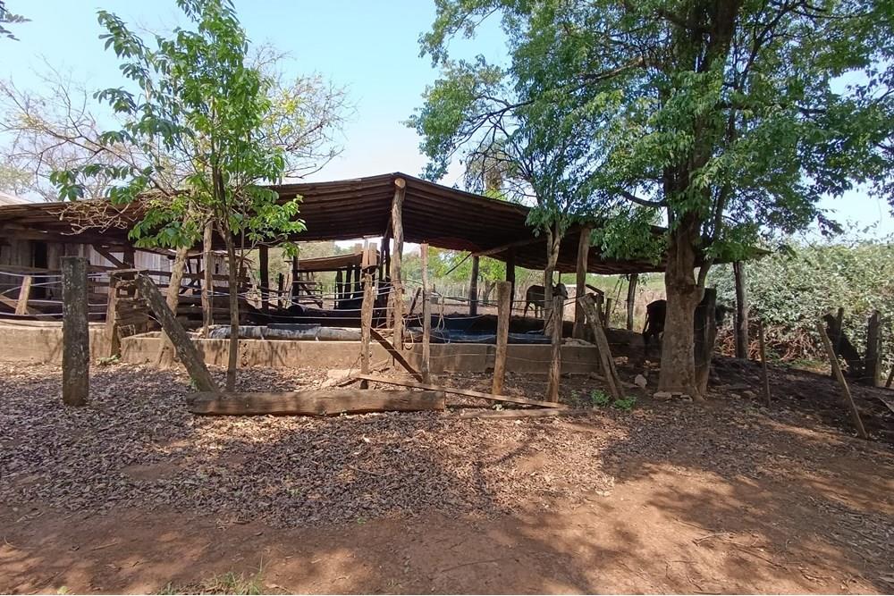 Granja Agrícola - Venta - Paraguay Alto Paraná Minga Guazú — foto 3