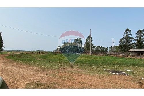 Estancia de 10.019 Hectáreas en Caaguazú con pista de aterrizaje — foto 2
