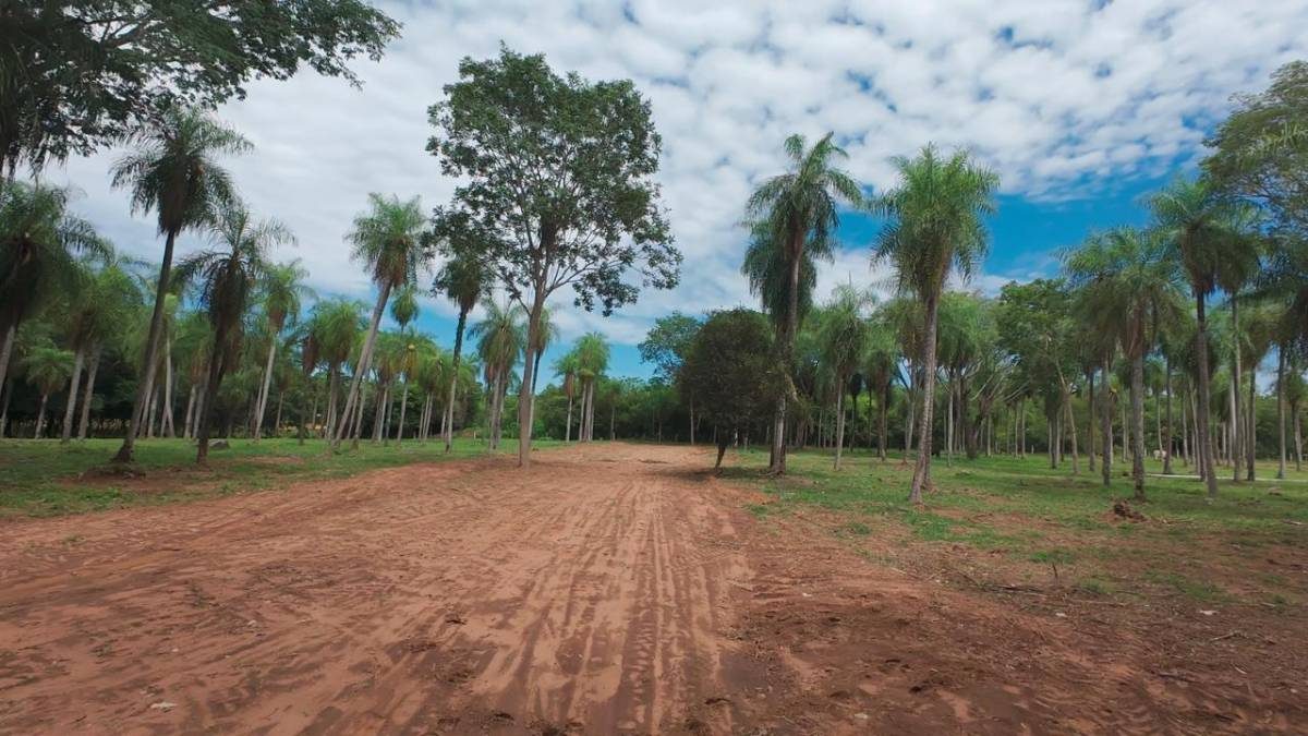 OPORTUNIDAD DE INVERSION LOTES EN LA CIUDAD DE ALTOS — foto 2