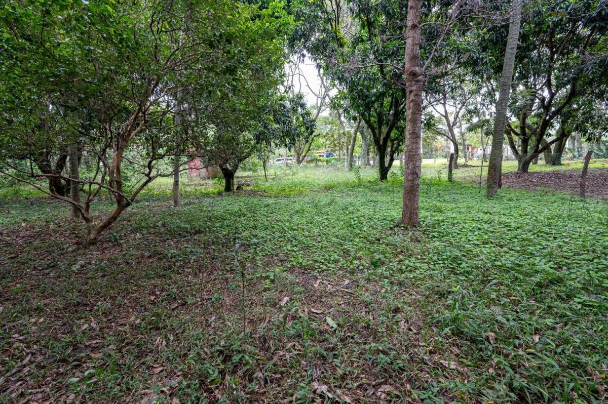 Vendo terreno en Altos sobre ruta San Bernardino - Altos - Lote №.4 — foto 3