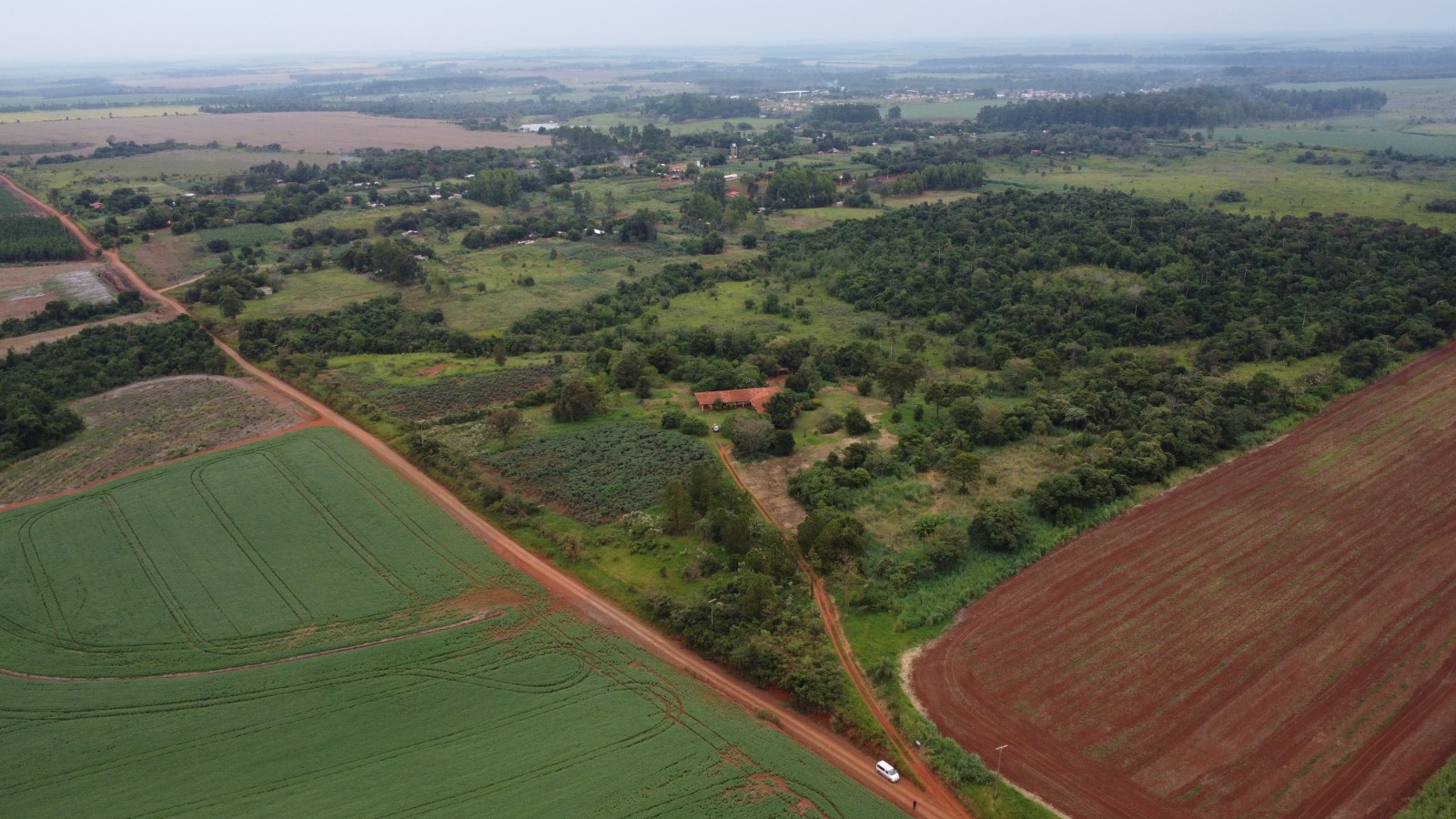 VENDO 40 HECTAREAS EN MINGA GUAZU   KM 28 ALTO PARANÁ — foto 2