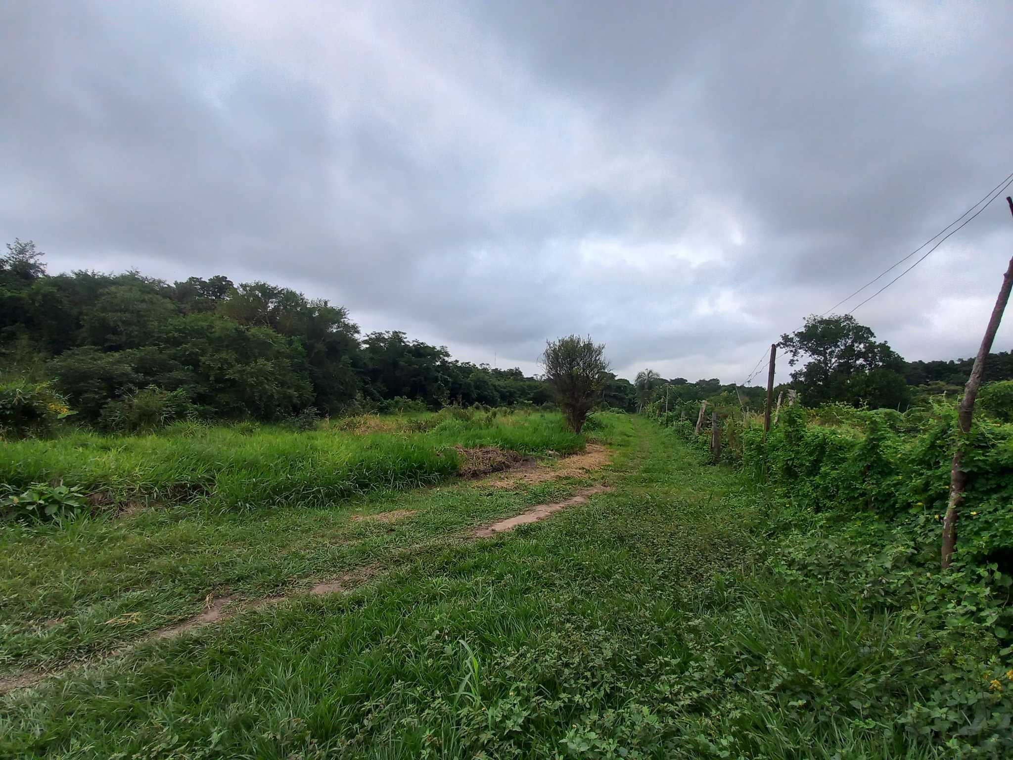 Atención Inversionistas Terreno En Venta Tarope...Vía Cotoca