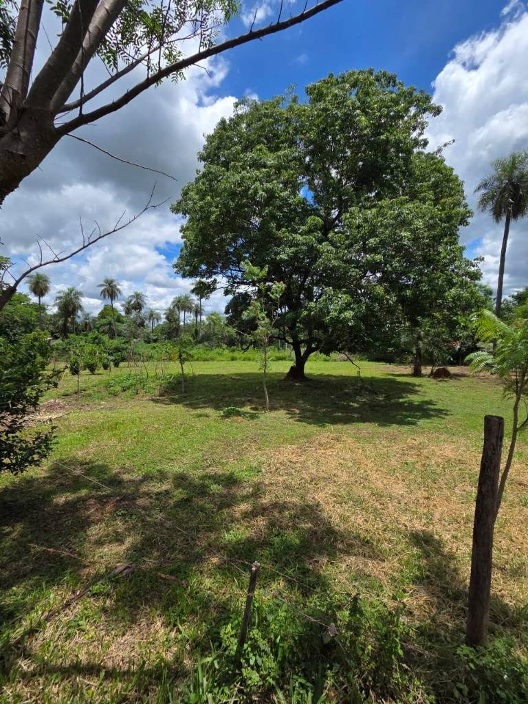 Venta de Lotes en Paraguari — foto 2