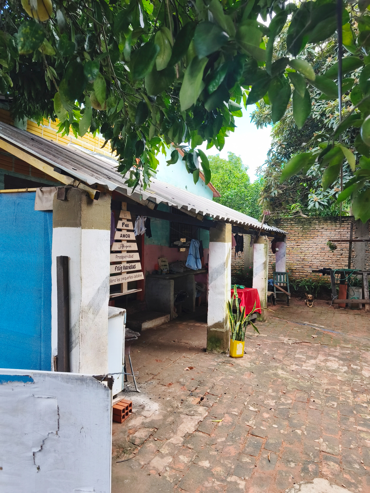 House For Sale – 3-room Home With Large Yard, Excellent Investment Opportunity — foto 3