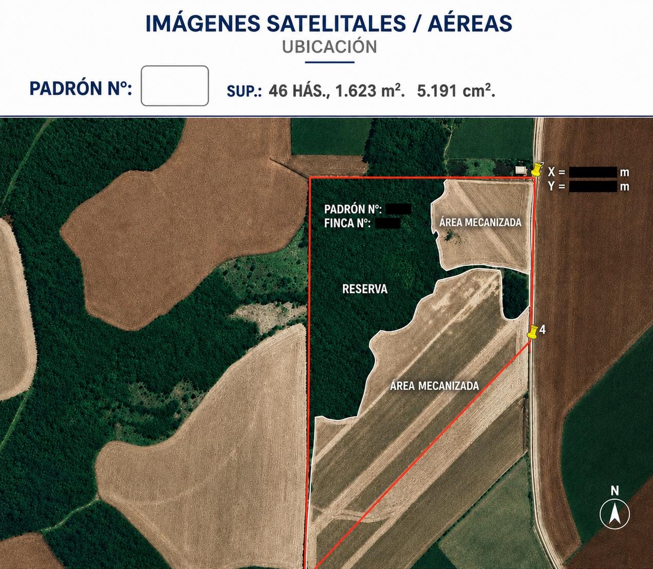 VENDO 55 HECTAREAS EN ITAPUA - CAPITAN MEZA — foto 3