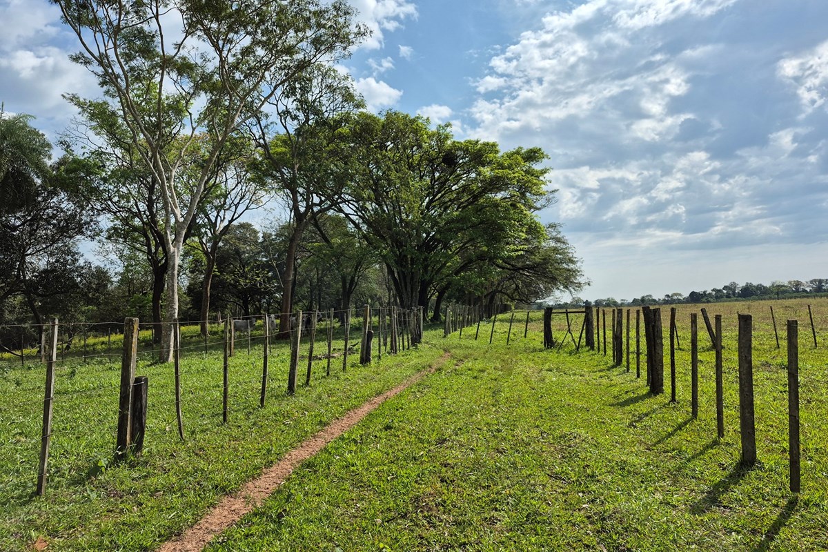 Granja Agrícola-Venta- Albadón, Caazapá, Caazapá — foto 2