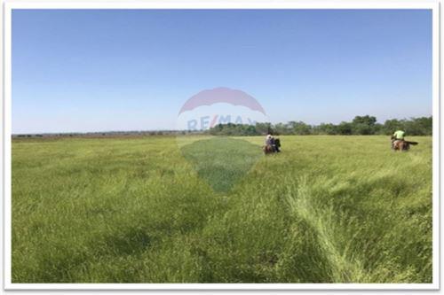 VENDO CAMPO/ESTANCIA EN ARROYOS Y ESTEROS — foto 3