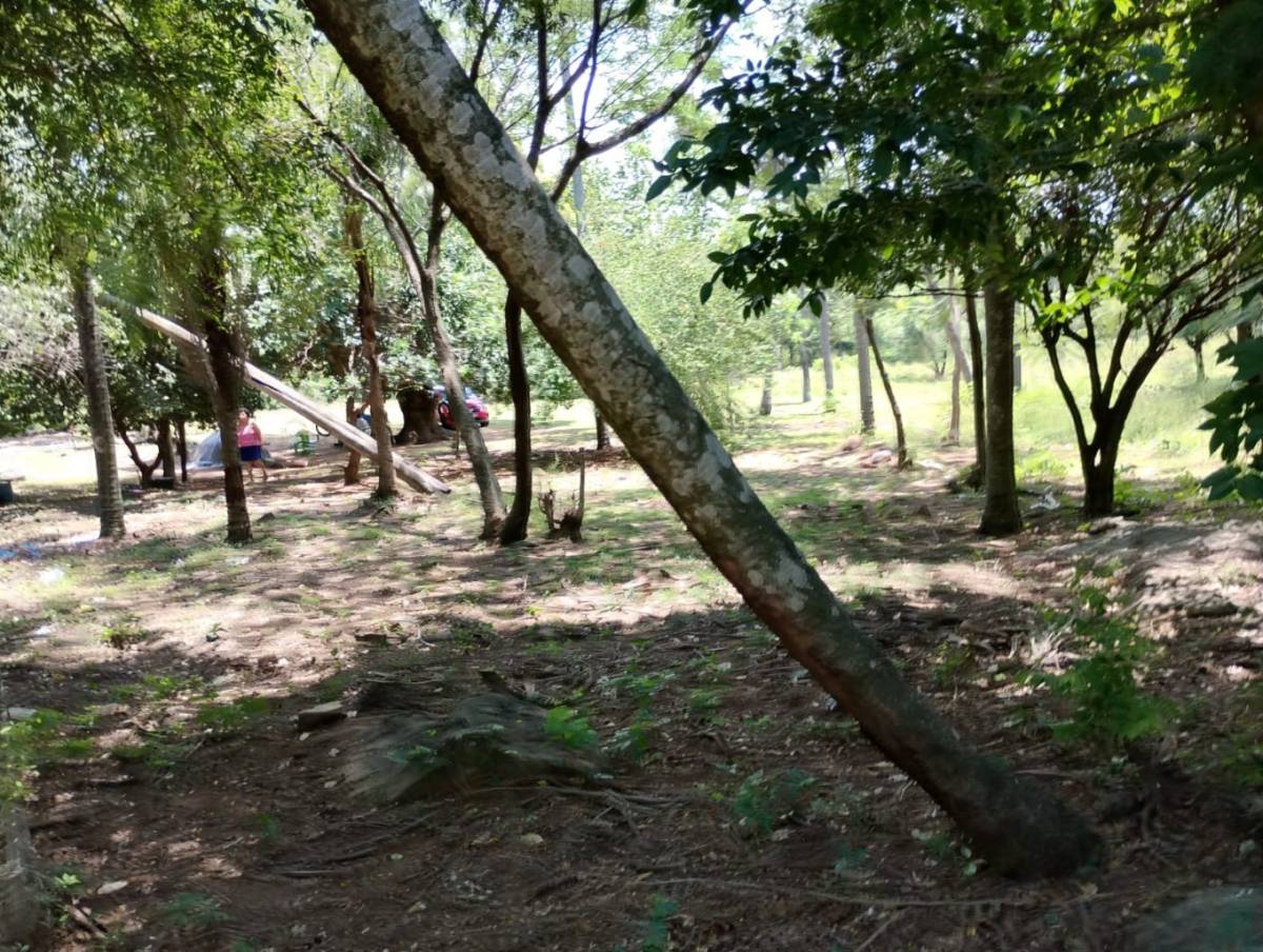 VENDO ESTANCIA EN LOMA GRANDE — foto 3