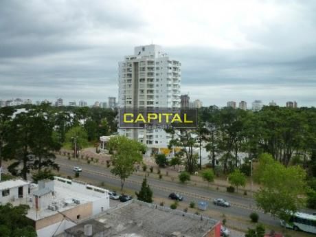 Apartamentos En Roosevelt
