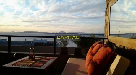 Quartier Punta Ballena