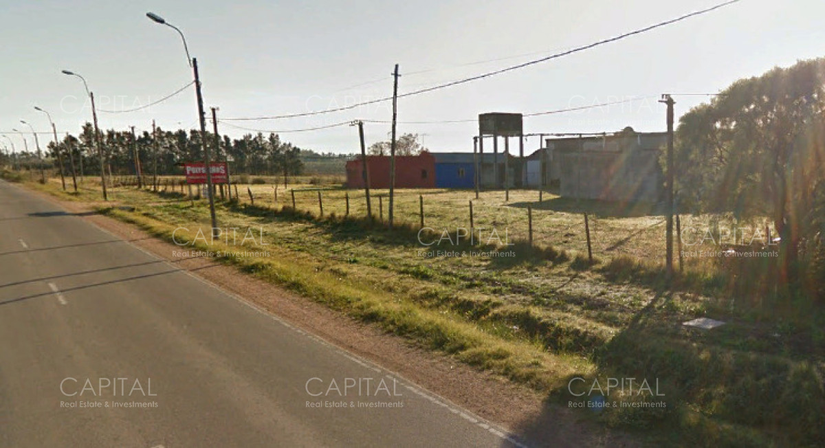 Galpón en Venta y Alquiler anual en Motevideo. · Foto 2