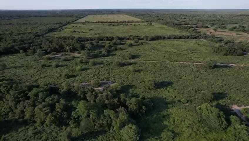 EN VENTA CAMPO CON ALTO POTENCIAL. — foto 2