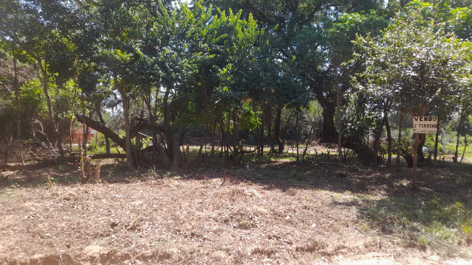 En venta dos terrenos juntos en Ayolas — foto 2