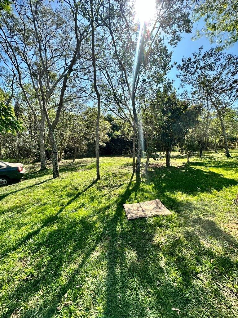 GRANJA EN NUEVA COLOMBIA — foto 2
