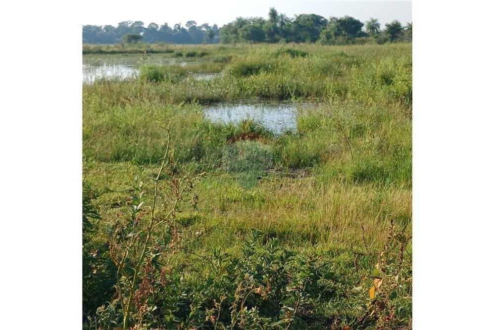 Terreno - Venta - Tobatí, Paraguay — foto 3