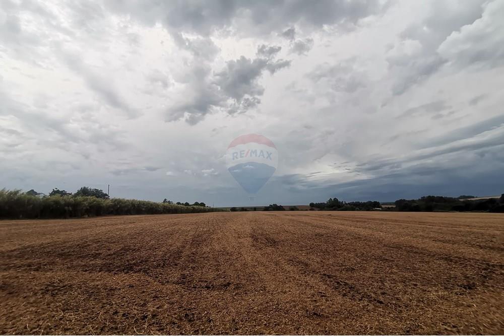Vendo Terreno De 128.555m2 En Itapúa — foto 3
