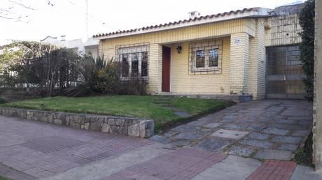 Dueño - Limburgo Y Palmas Y Ombúes
