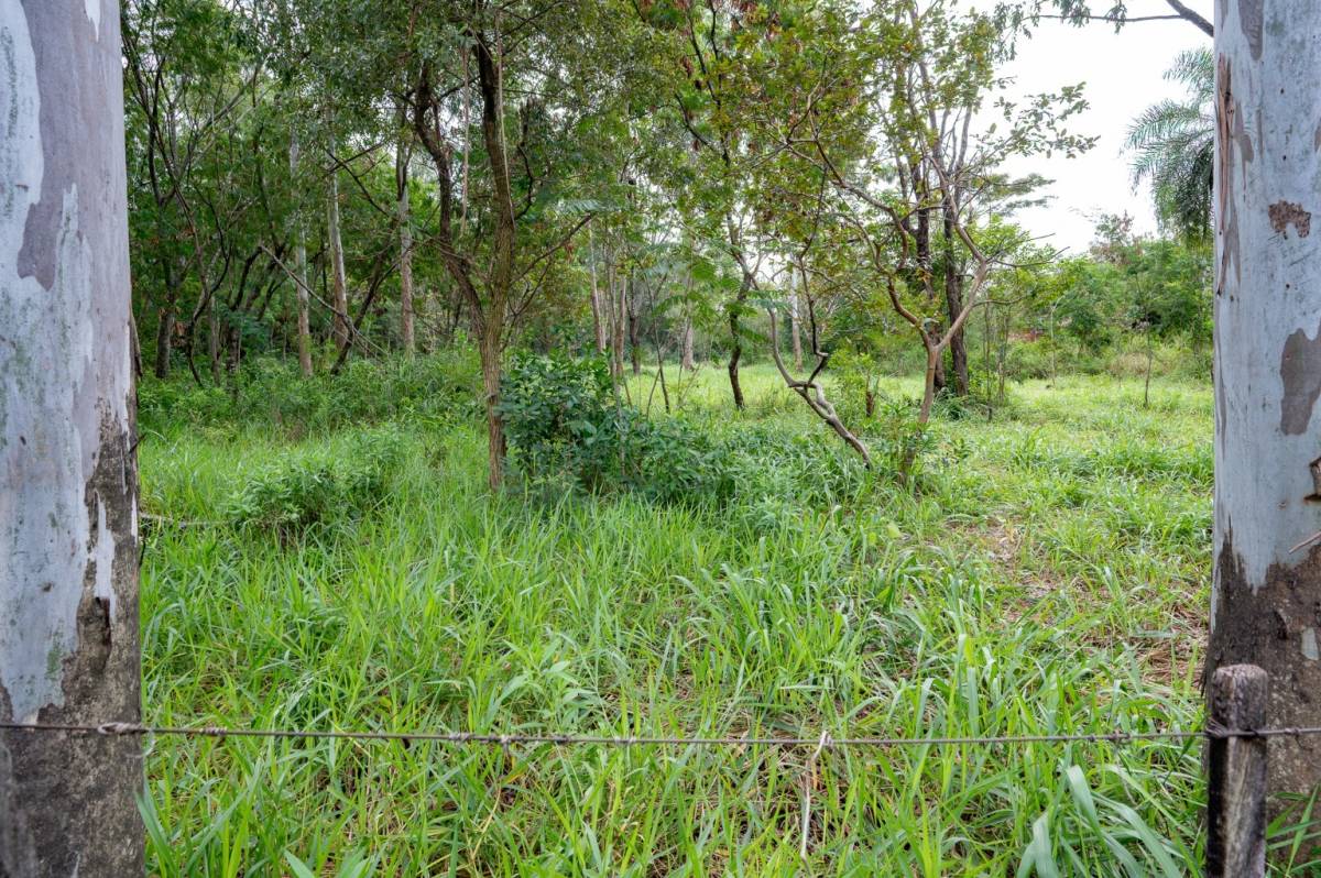 VENDO Terreno 1000 m2 camino tierra - San Miguel, Altos — foto 2