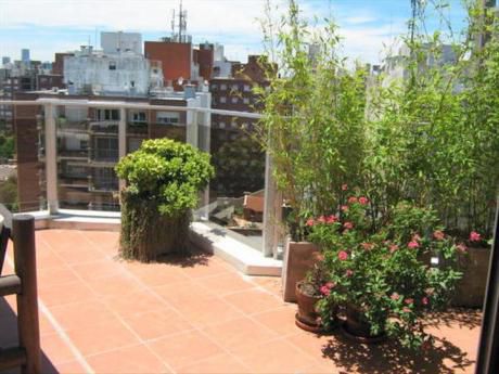 Divino Penthouse Con Gran Tza, Monoambiente