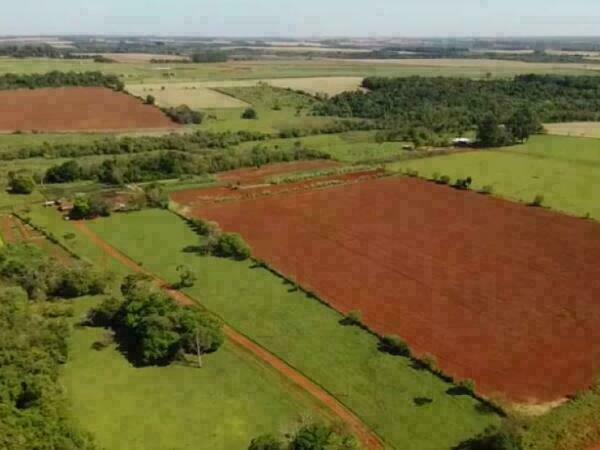EN VENTA – PROPIEDAD RURAL EN MINGA GUAZÚ, ALTO PARANÁ — foto 2