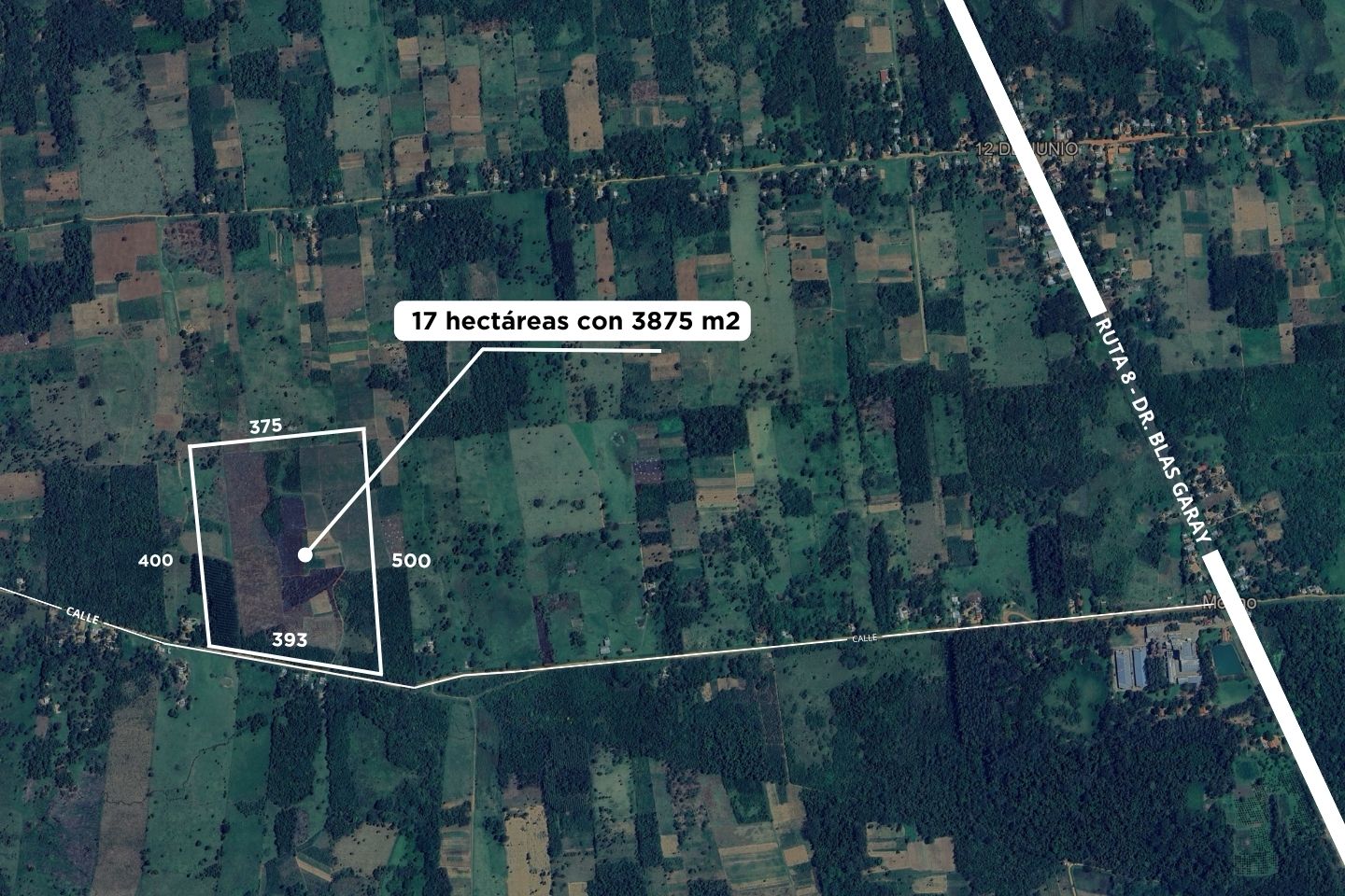 EN VENTA 17 HECTAREAS DE TERRENO EN SAN PEDRO YATAITY — foto 2