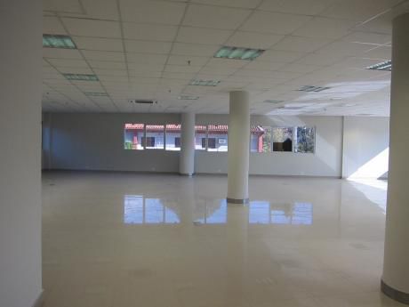 Alquilo Oficina Corporativa 259 M2 Con 4 Cocheras