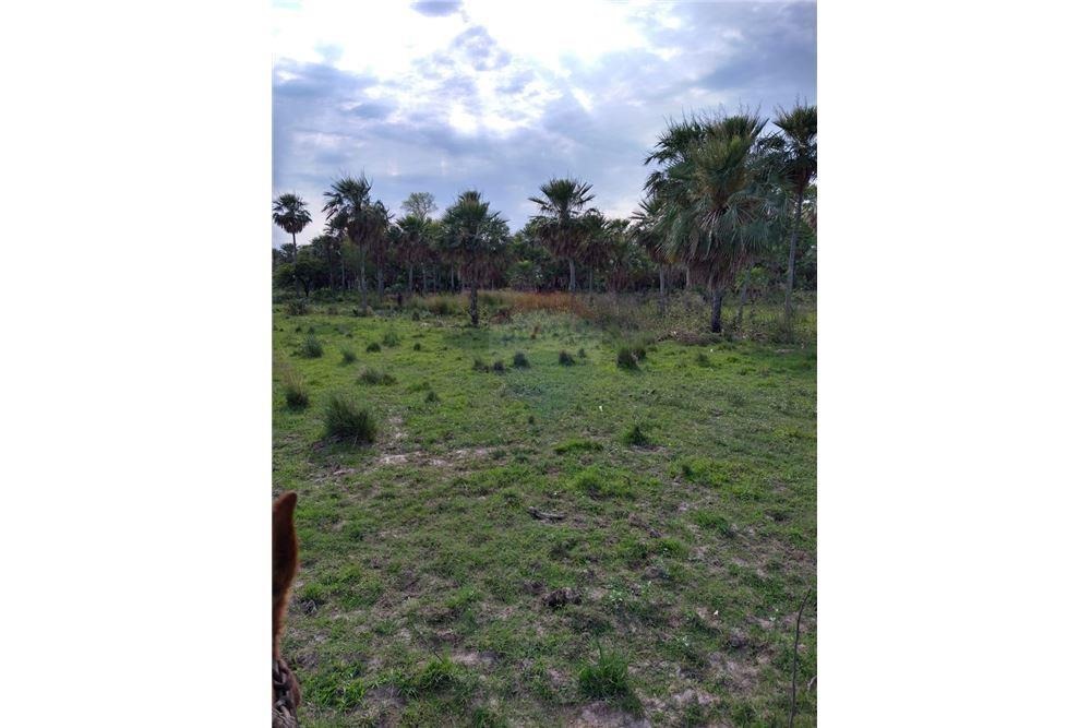 VENDO CAMPO EN VILLA OLIVA ÑEEMBUCU 353 HECTAREAS — foto 2