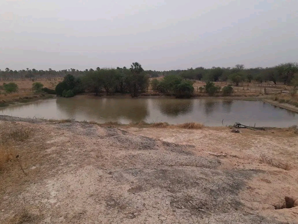 VENDO ESTANCIA EN ALTO PARAGUAY-FORTIN FLORIDA — foto 3
