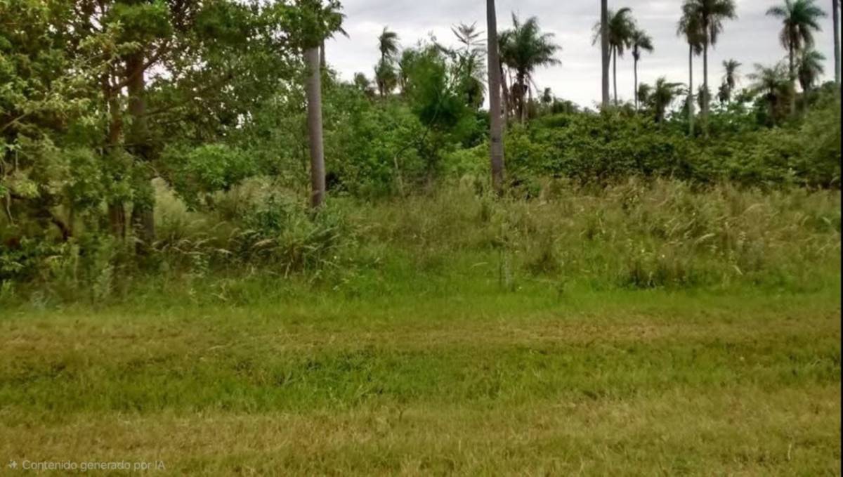 TERRENO EN ATYRA — foto 3