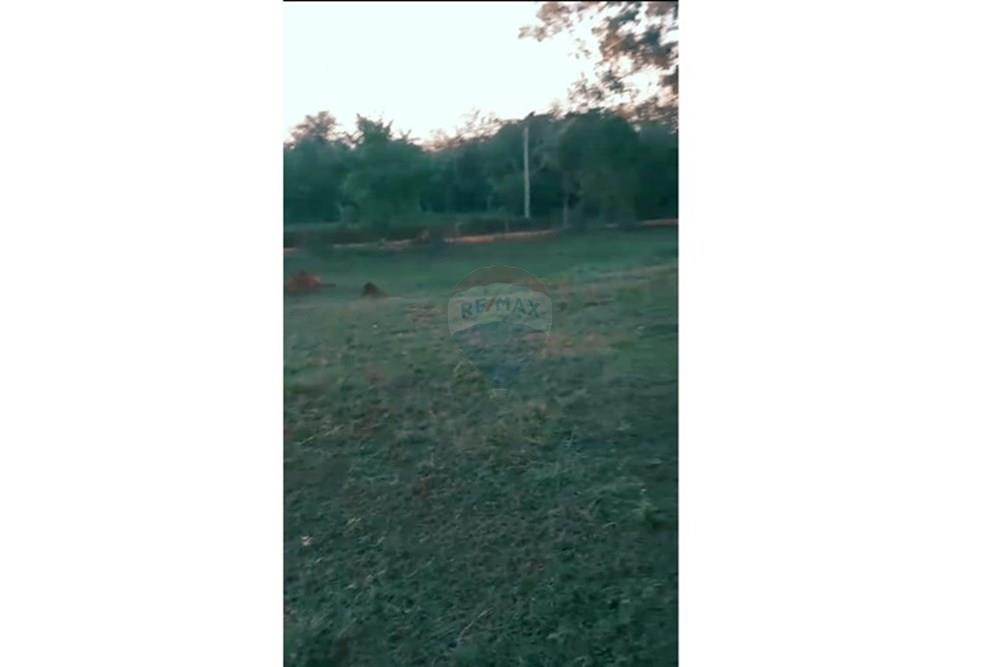 VENDO HERMOSO TERRENO DE 1HA. EN ATYRA — foto 3