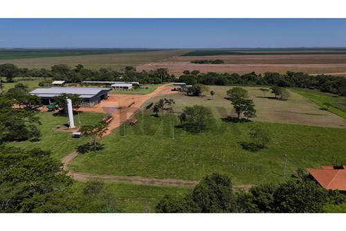 Granja Agrícola-Venta-PY Itapúa General Artigas — foto 2