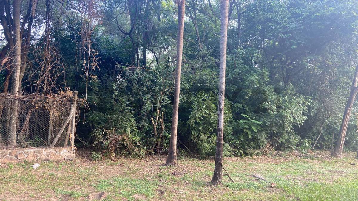 Venta de Terreno en San Bernardino, Cordillera — foto 2