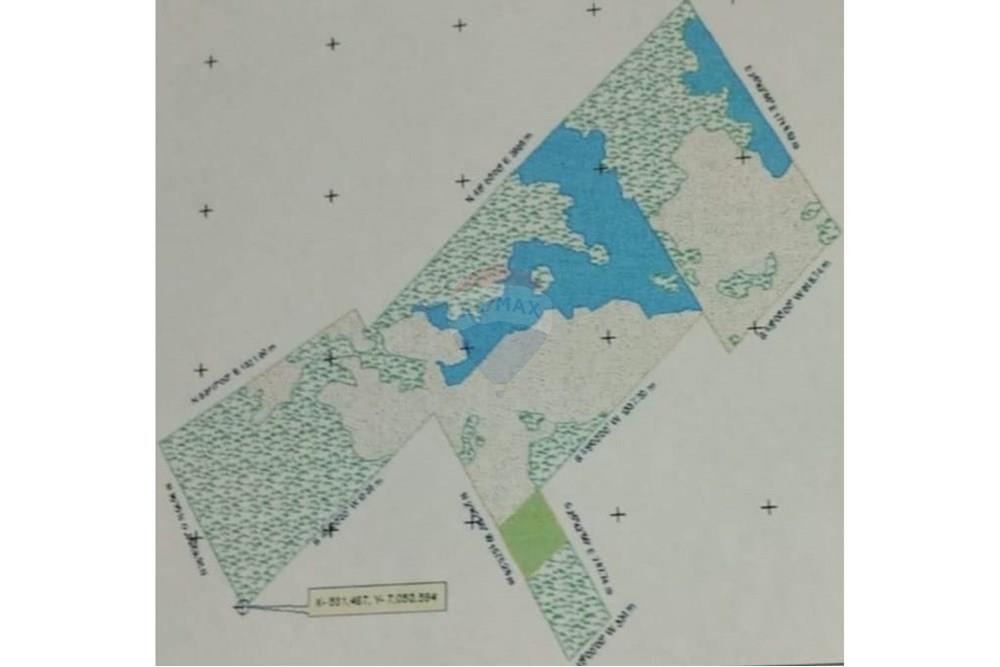 Oportunidad de Inversión Agrícola — foto 2