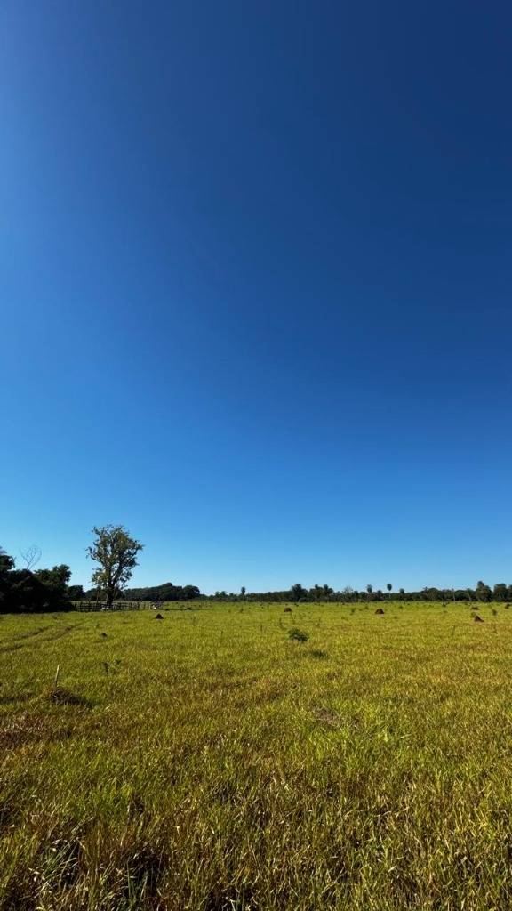 EN VENTA TERRENO EN ARROYOS Y ESTEROS — foto 3