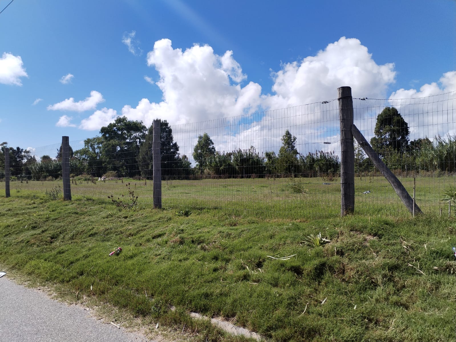 Alquiler de Terreno en Interbalnearia de 5.000 m2