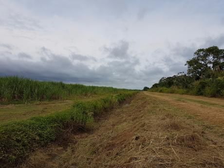 Propiedad Agropecuaria Cañera