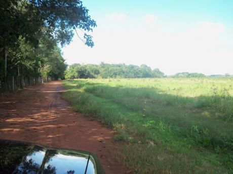 Caazapá 300 Has Tierra Roja Mecanizada Sobre Ruta