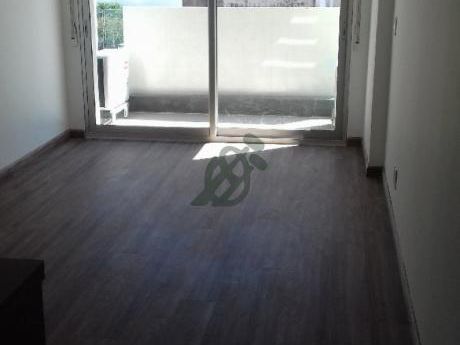 Divino Apartamento De Un Dormitorios Super Amplio, Tres Meses De Alquiler Gratis: