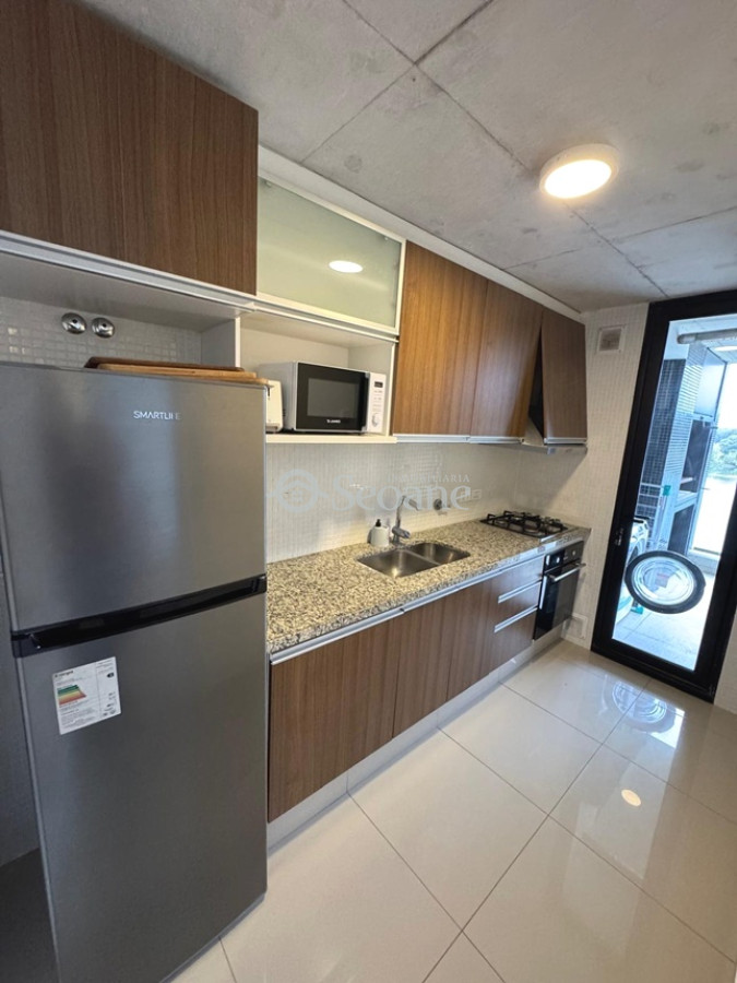 Lago Mayor, Equipado, Parrillero, Vista Al Lago · Foto 4