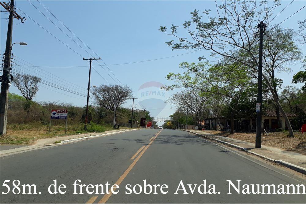 VENDO TERRENO EN ESQUNA EN SAN BERNARDINO — foto 3