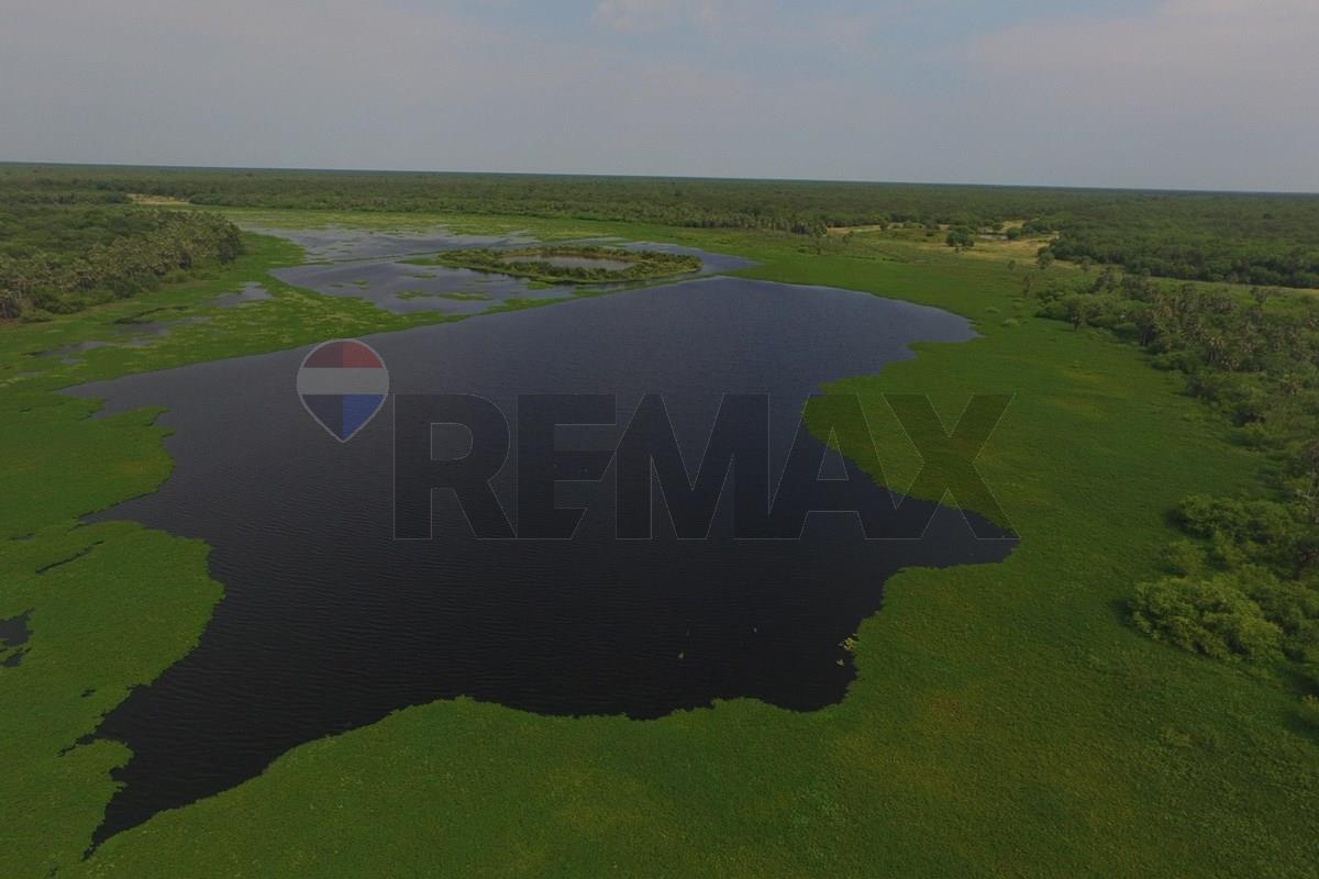 EXCLUSIVO CAMPO VIRGEN EN EL CHACO PARAGUAYO | GRAN OPORTUNIDAD DE INVERSIÓN — foto 2