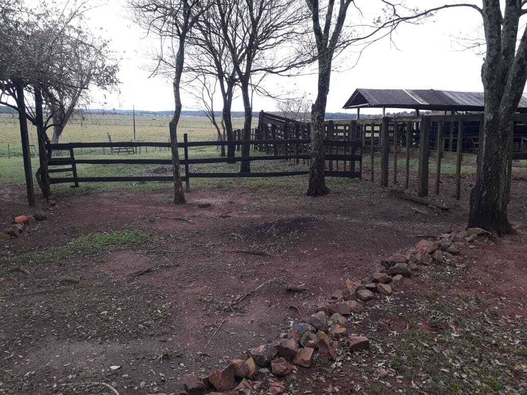 VENDO ESTANCIA EN SAN PEDRO DEL PARANÁ DE 80 HECTÁREAS — foto 3