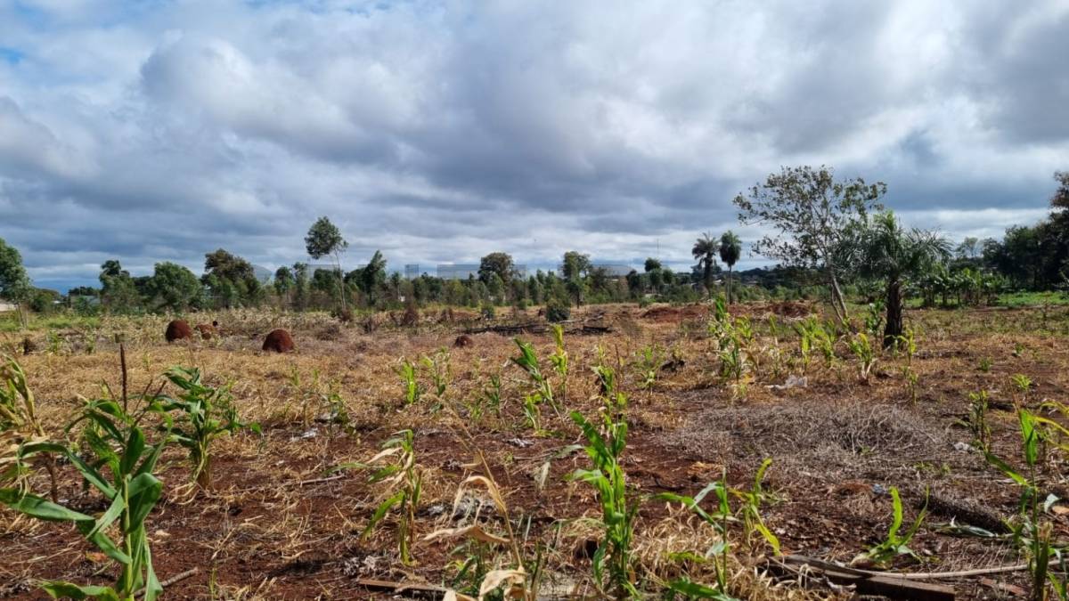 Terreno de 4.8 Hectáreas en Pedro Juan Caballero - foto 5