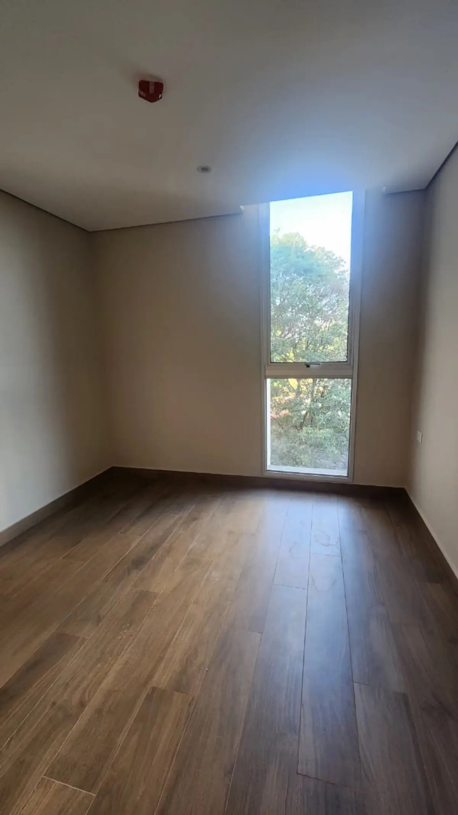 Departamento en alquiler a estrenar | Villa Morra — foto 3