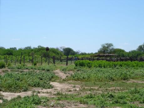 Vendo Estancia De 8.430 Ha En Pdte. Hayes, Zona Tte. Esteban Martínez.