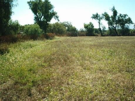 Ideal Proyecto!! Terreno Con Gran Potencial