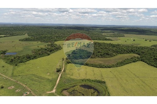 Campo de 2,223 Hectáreas en Caazapa ideal para ganadería — foto 2