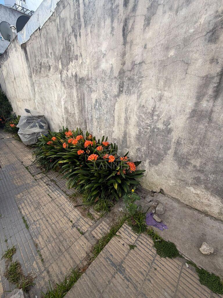 BUCEO REF LY2200  Apartamento en alquiler (Av. Rivera y Donizetti) a 1 cuadra de Av. Jose Batlle y · Foto 11