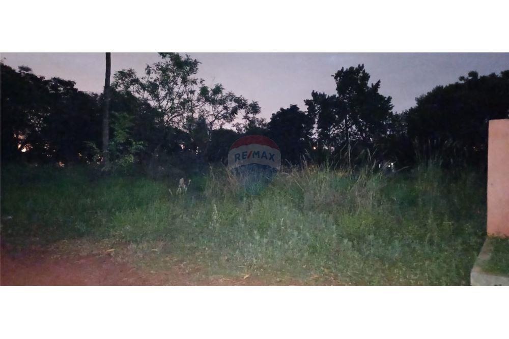 TERRENO EN OFERTA ZONA CAPIATA — foto 3
