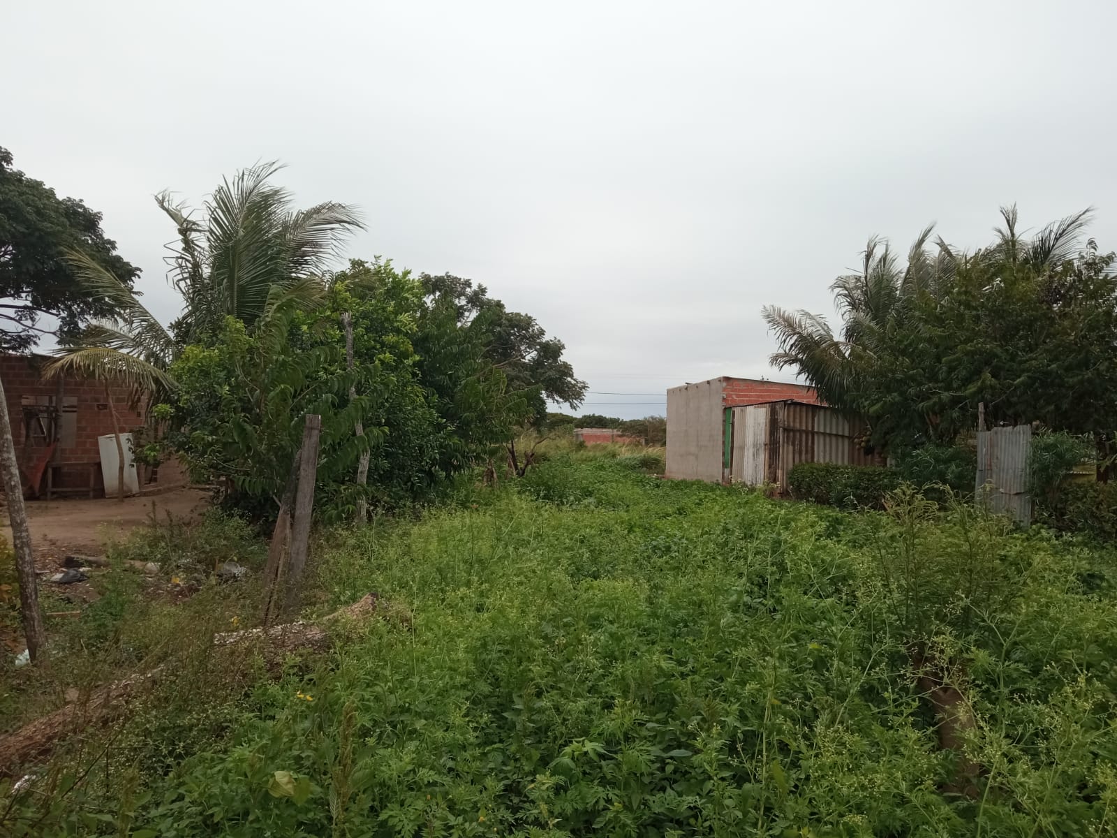 Terreno En Integración Norte 
